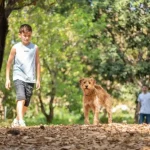 צילום אווירי 4 צילום אווירי